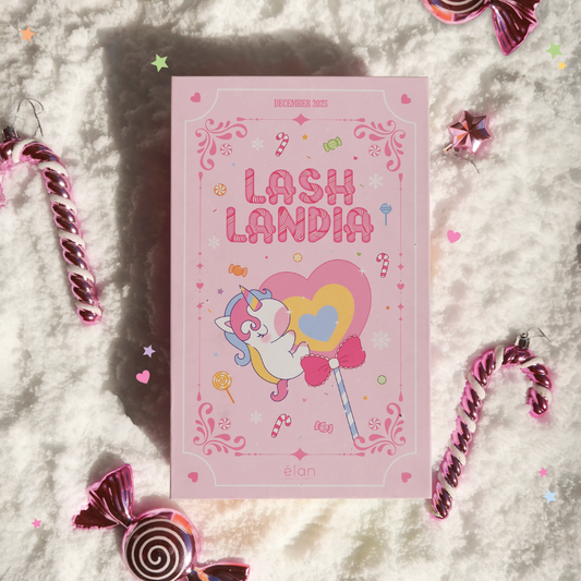 BEAUTÉ NÉCESSAIRE monthly subscription box *DECEMBER*