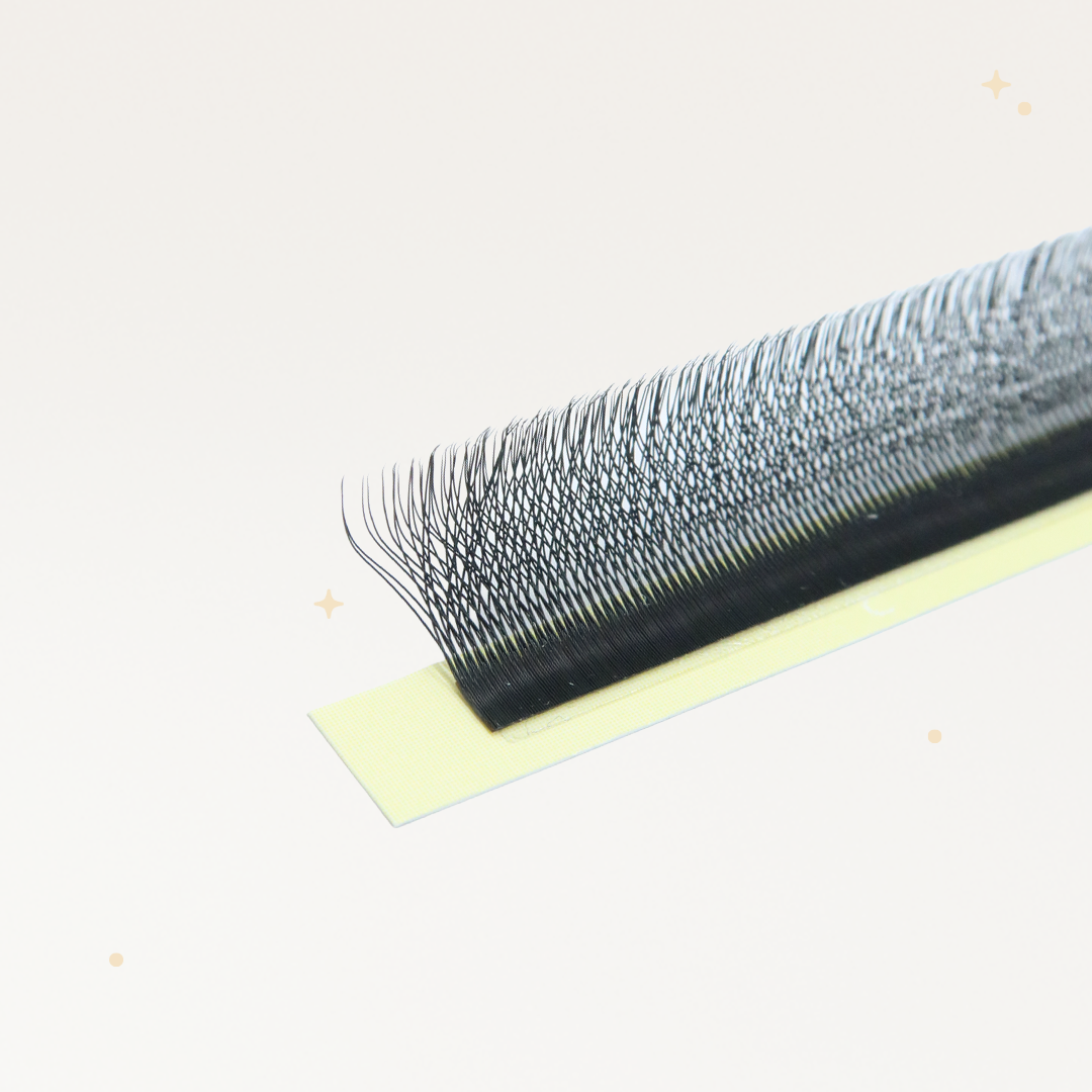 XL special YY lashes