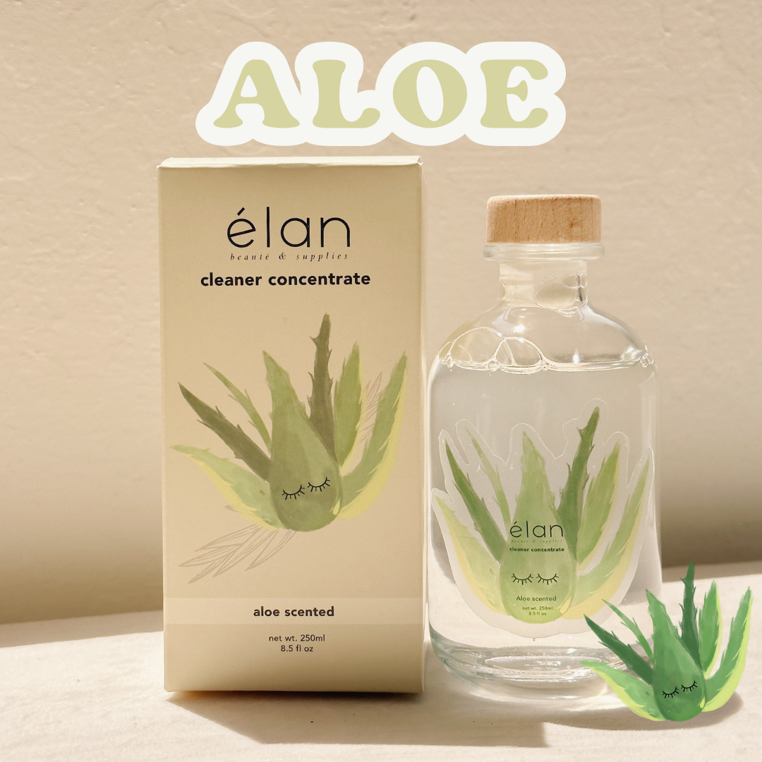 XL lash cleanser concentrate (up to 16 bottles of shampoo!)