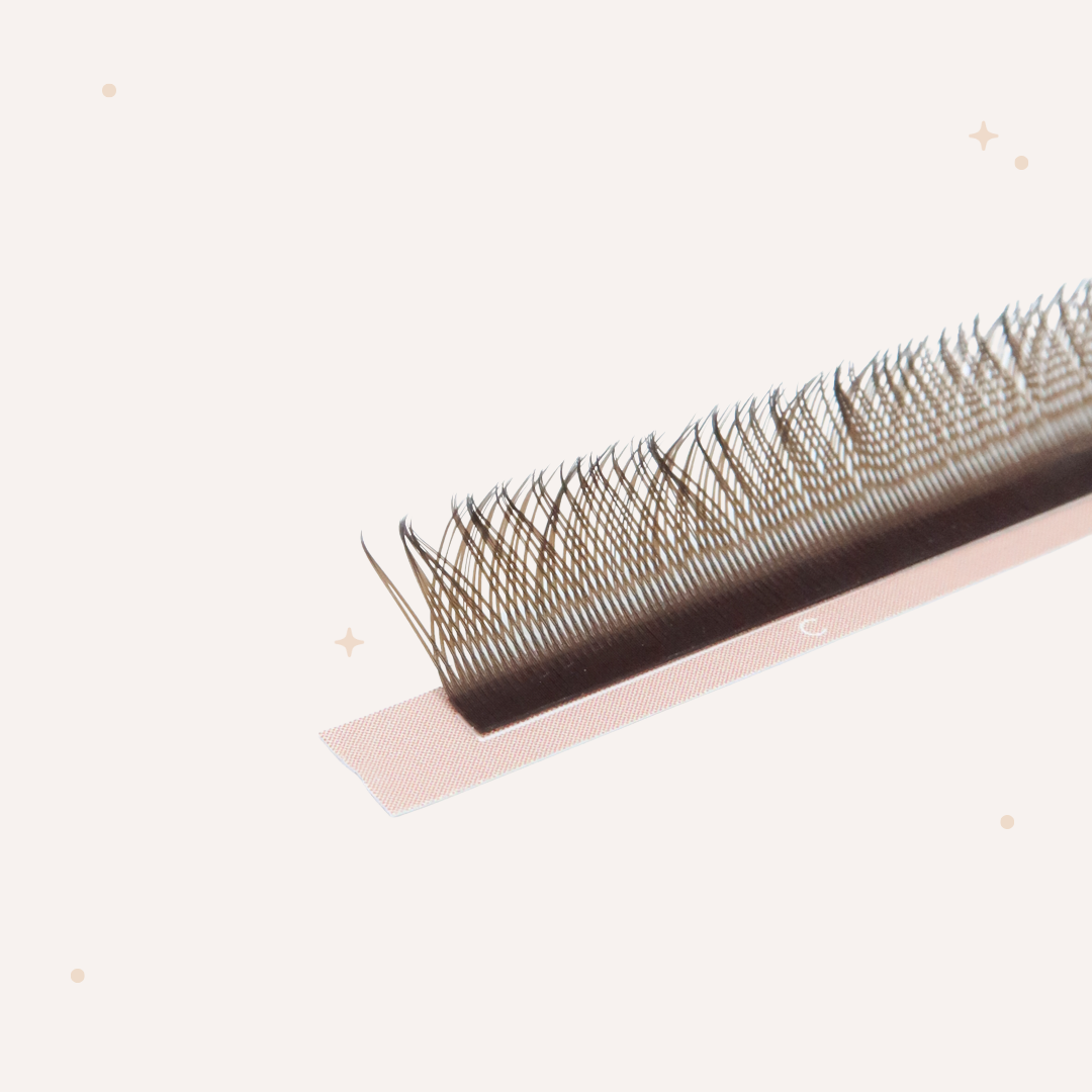 XL special YY lashes