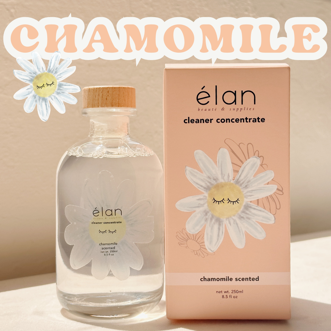 XL lash cleanser concentrate (up to 16 bottles of shampoo!)