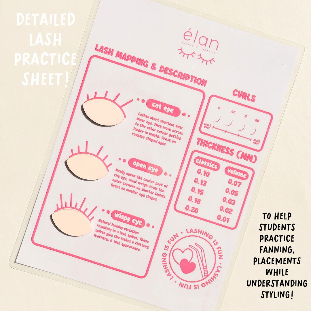 lash educator bundle