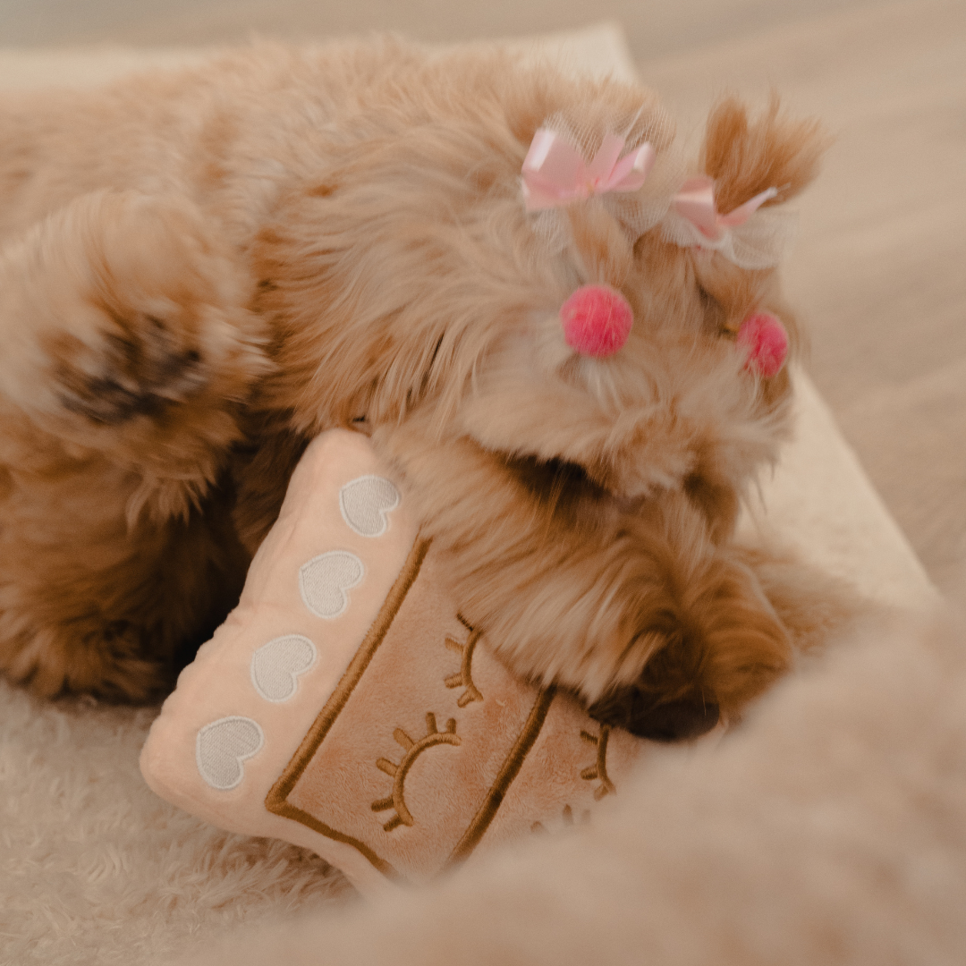 lash supplies for DOGGOS