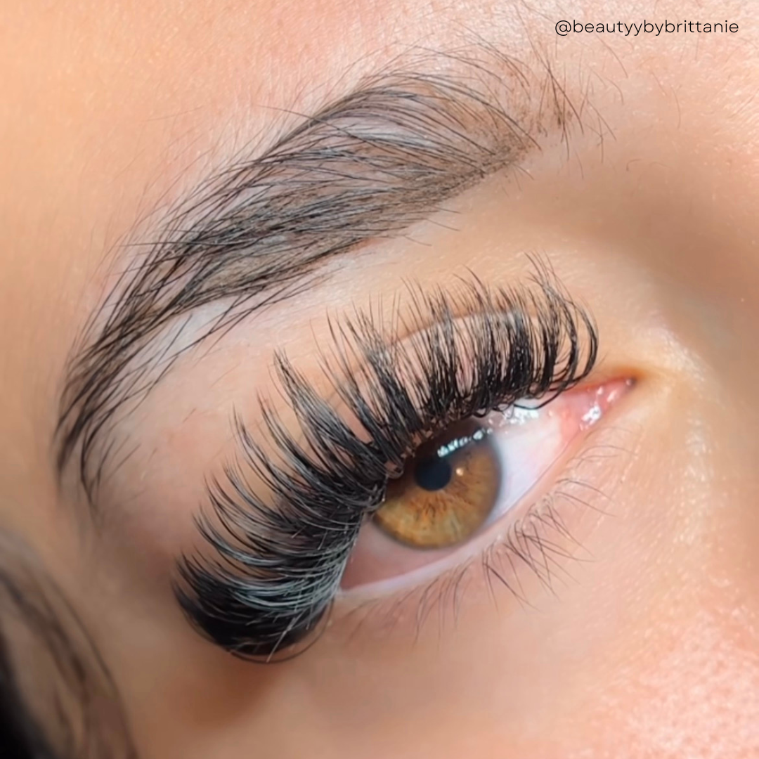 0.04 mix ROYAL MINK lash trays ð