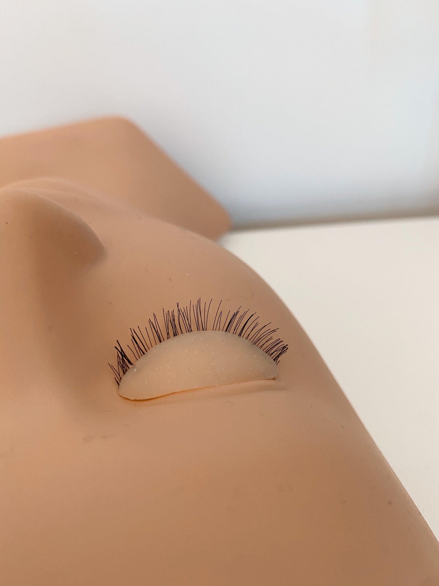 mannequin head with removal lids