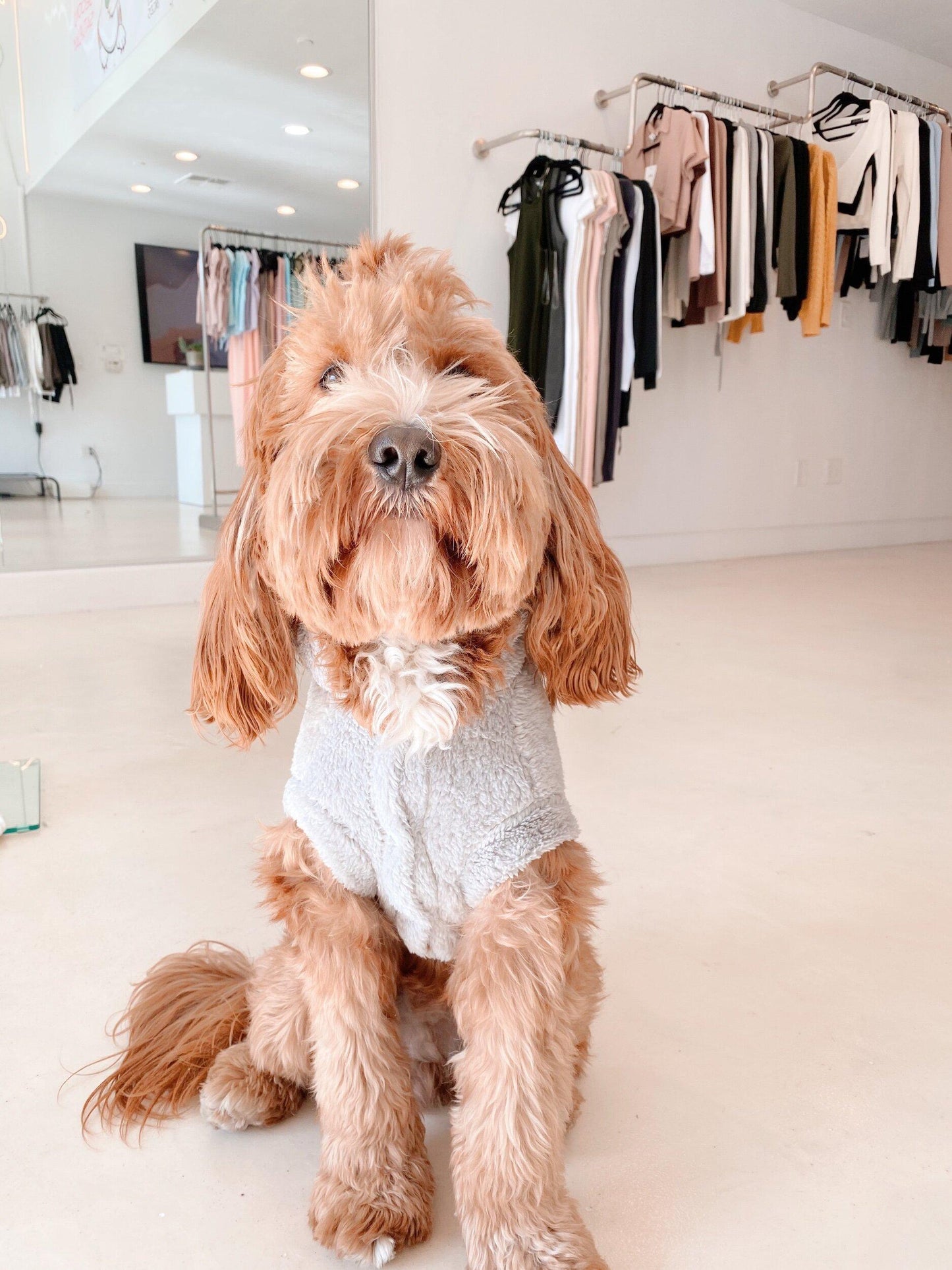 PET fluffy embroidered hoodies