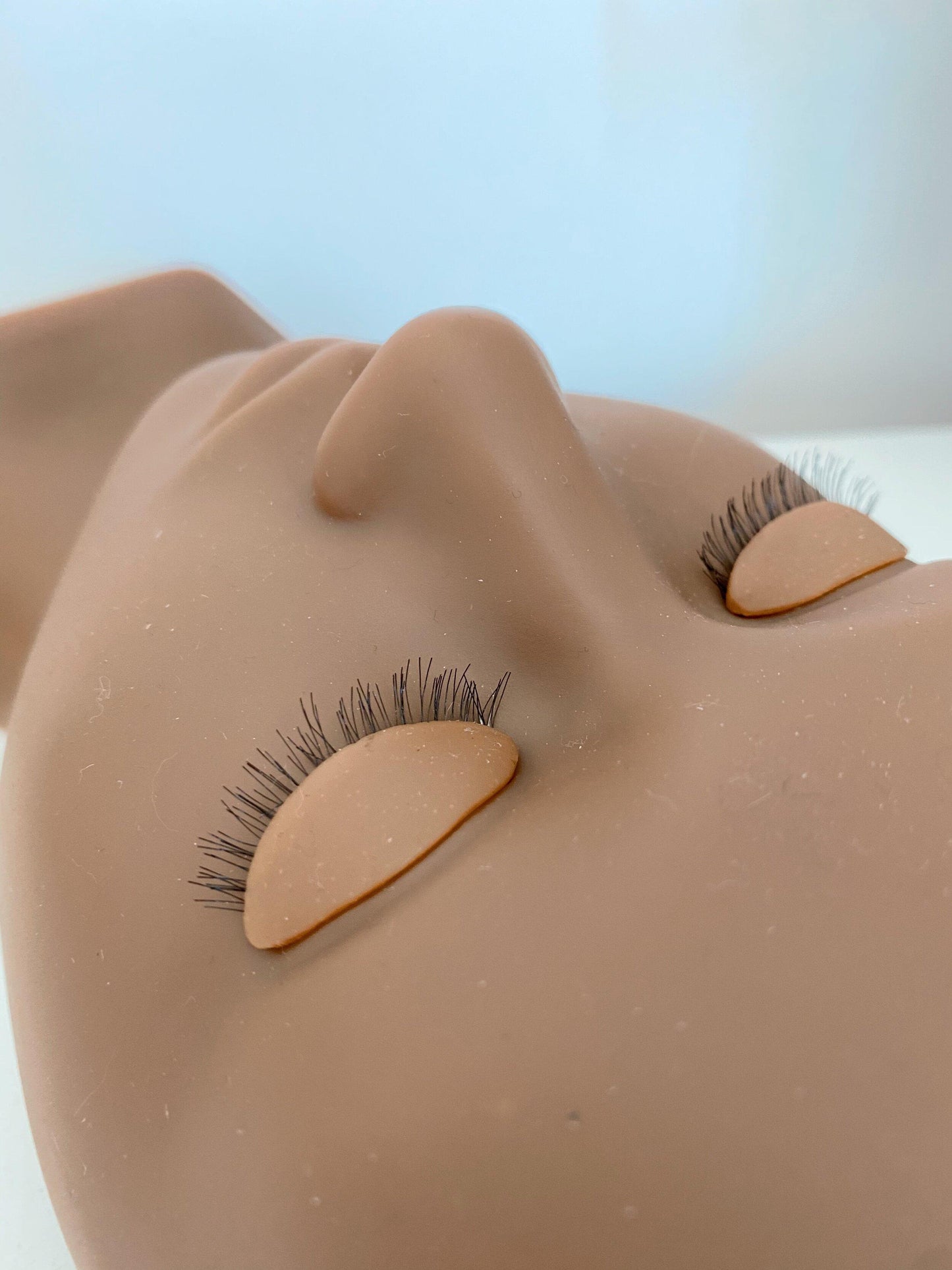 mannequin head with removal lids