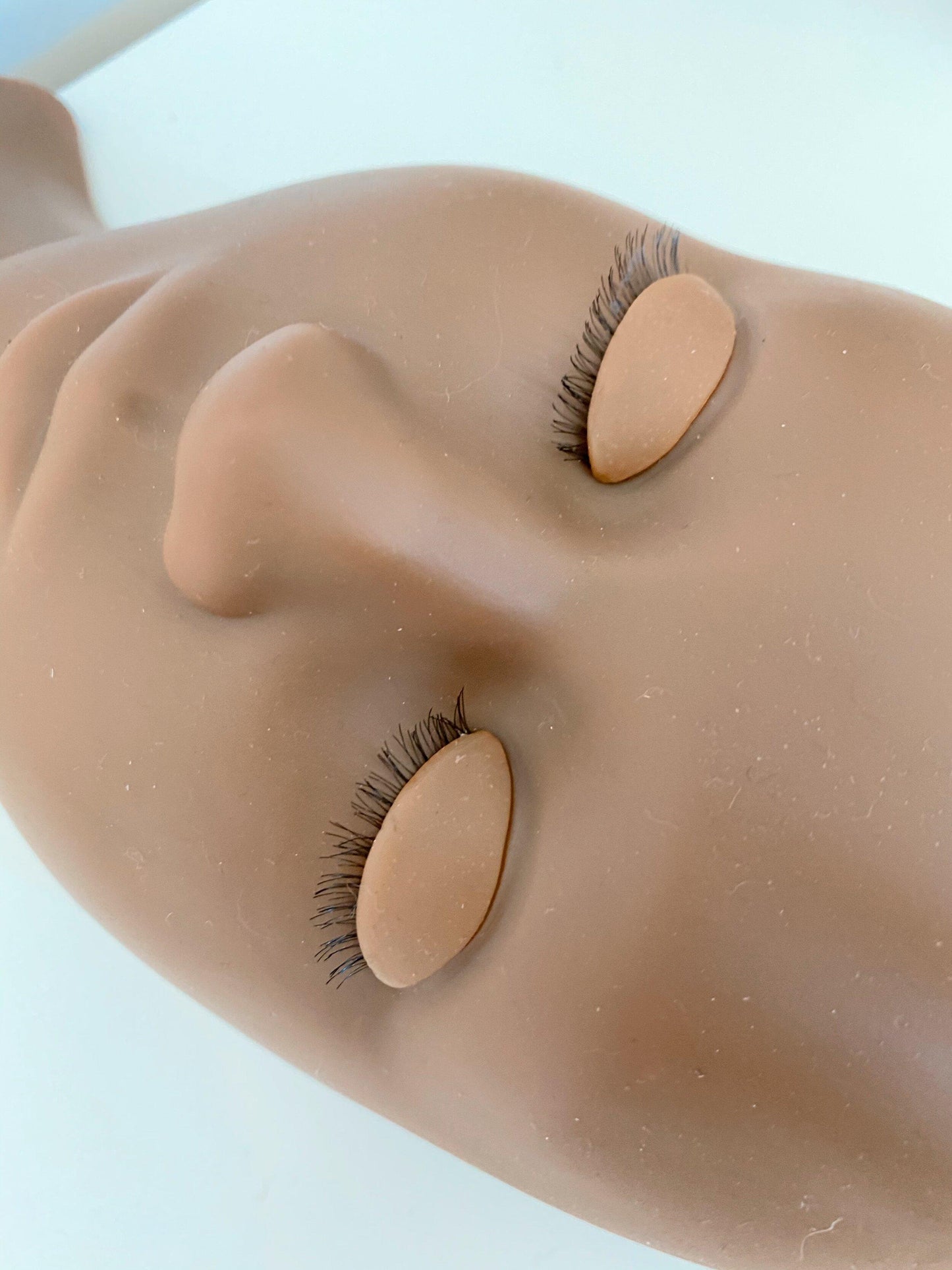mannequin head with removal lids