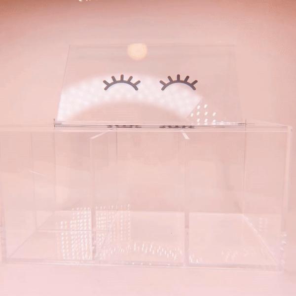 lash storage organizer