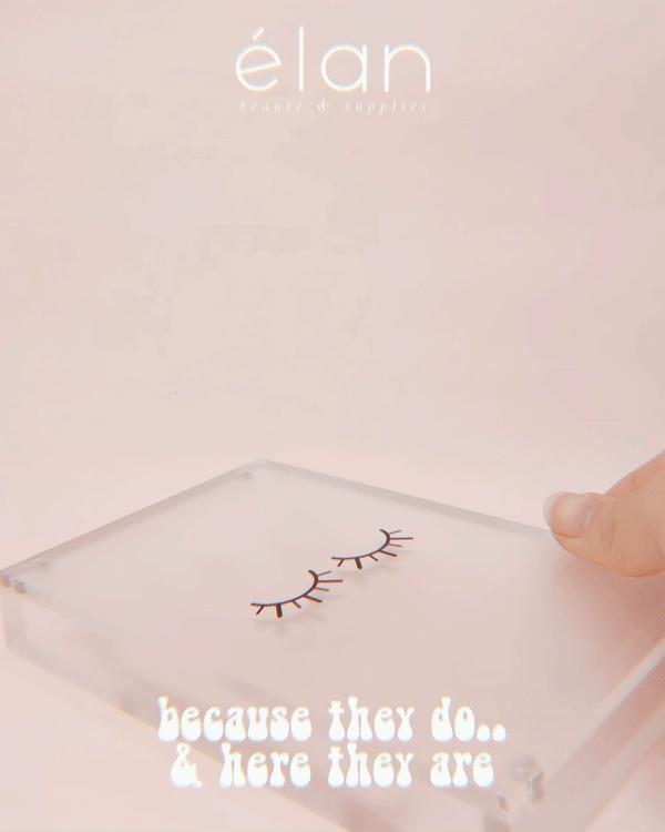 magnetic acrylic tweezer case