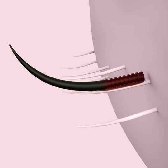 LTR (long term relationship) lashes