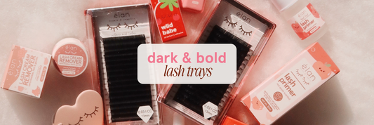 GET TO KNOW OUR LASH TRAYS: DARK & BOLD LINE