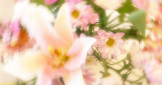 MAY SUBSCRIPTION: THEME