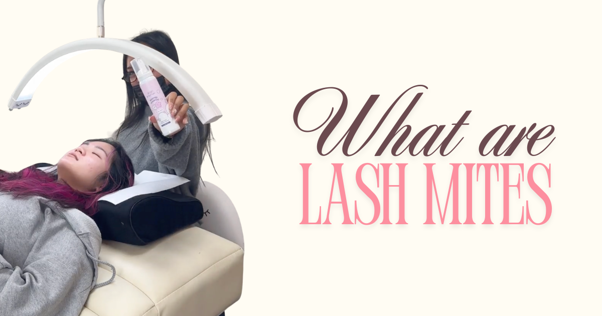 What Are Lash Mites? – elan beaute and supplies