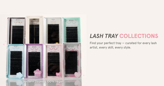 A DEEP DIVE INTO OUR LASH TRAY COLLECTIONS