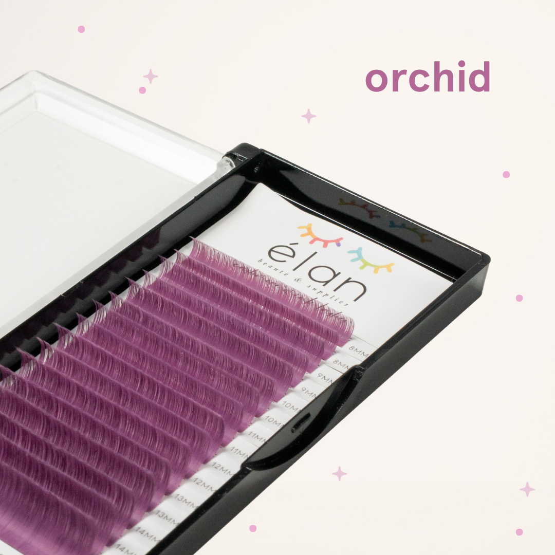 true tone color lashes