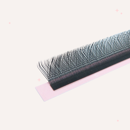 XL special YY lashes