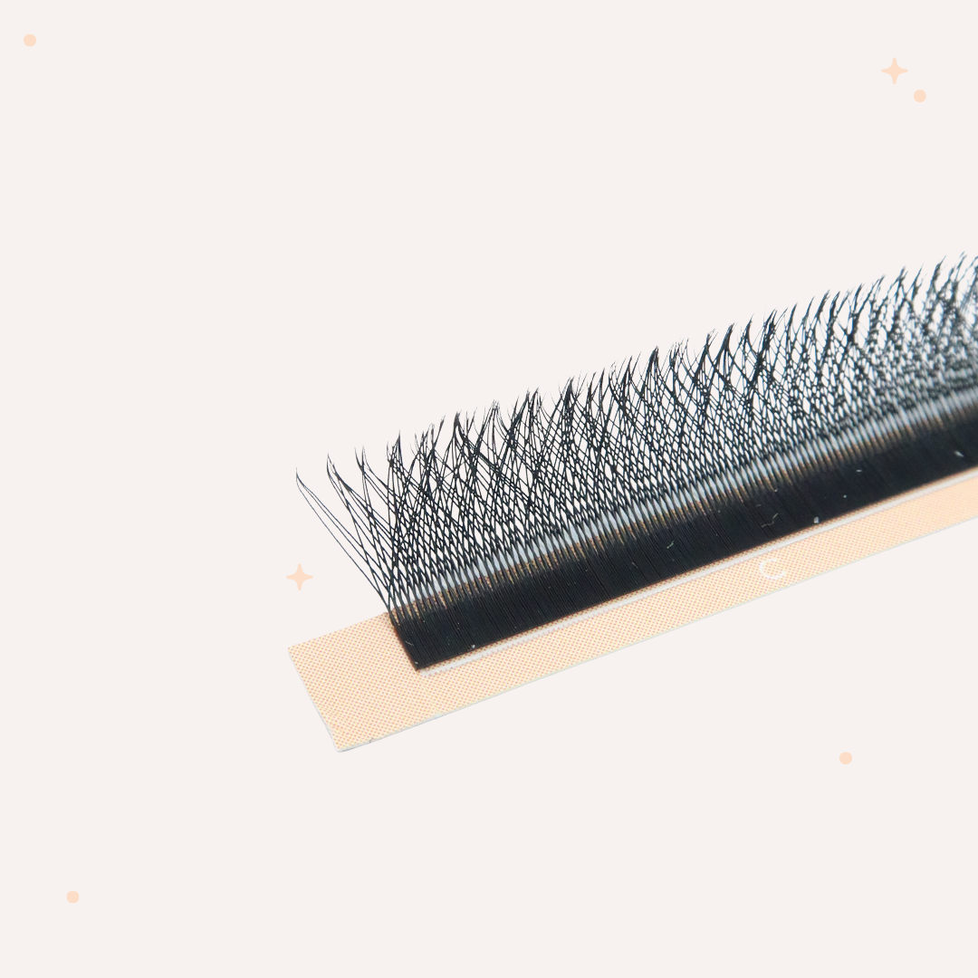 XL special YY lashes