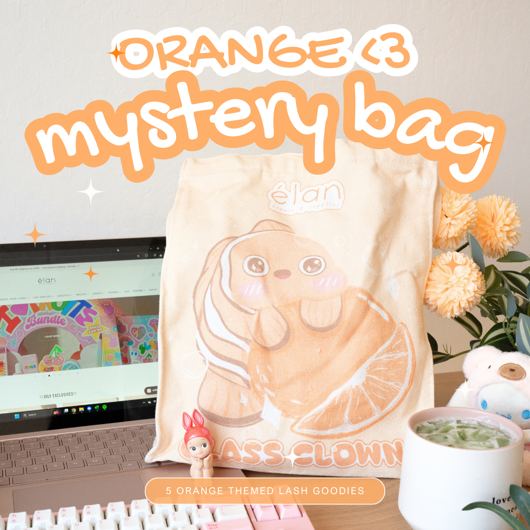 *AUGUST exclusive* ORANGE themed mystery bag