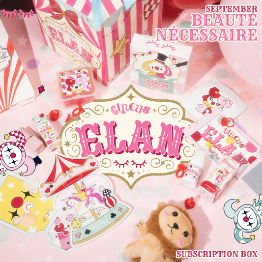 BEAUTÉ NÉCESSAIRE monthly subscription box *SEPTEMBER*