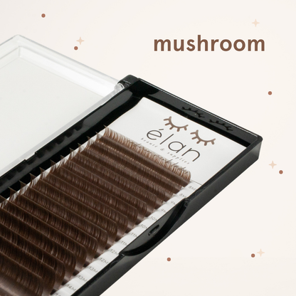 true tone neutral color lashes
