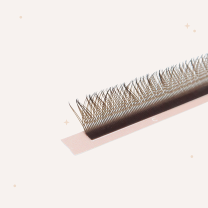 XL special YY lashes