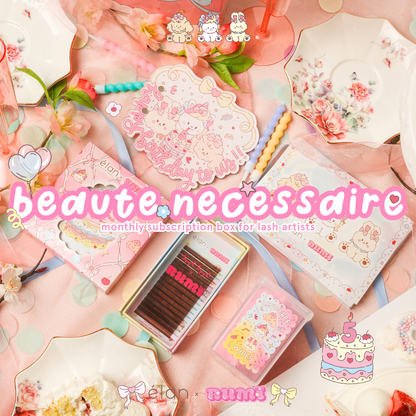 BEAUTÉ NÉCESSAIRE monthly subscription box