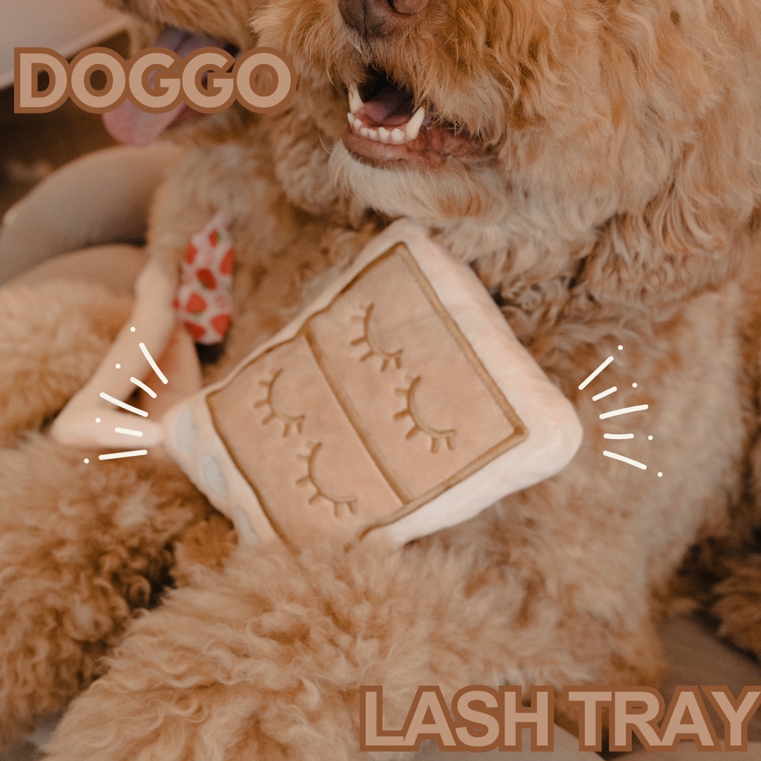 lash supplies for DOGGOS