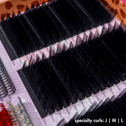 BRATZ XL bratitude lash tray