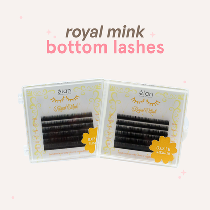 BOTTOM LASHES mini tray
