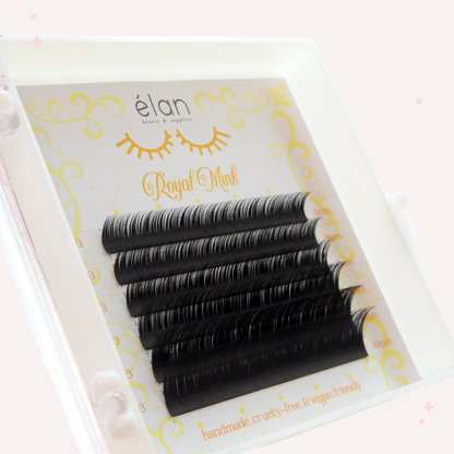 BOTTOM LASHES mini tray