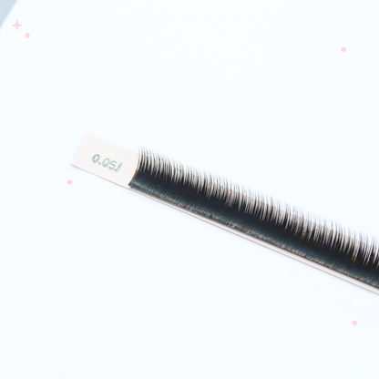 BOTTOM LASHES mini tray