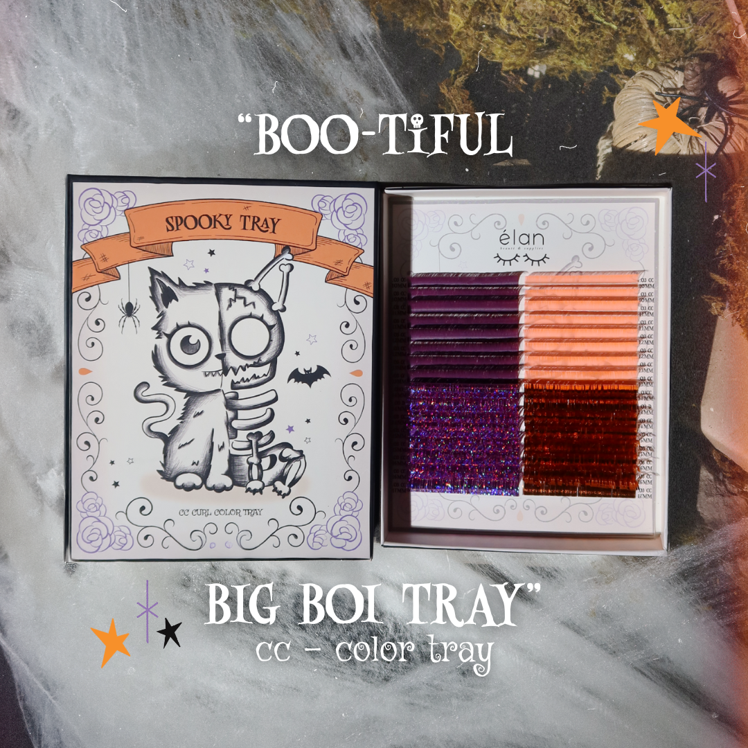 BEAUTÉ NÉCESSAIRE monthly subscription box *OCTOBER*