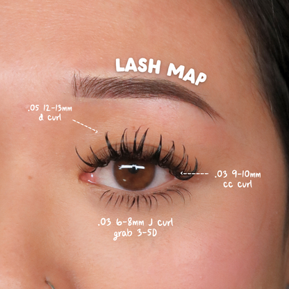 BOTTOM LASHES mini tray