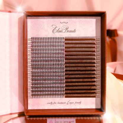 BEAUTÉ NÉCESSAIRE monthly subscription *JAN*