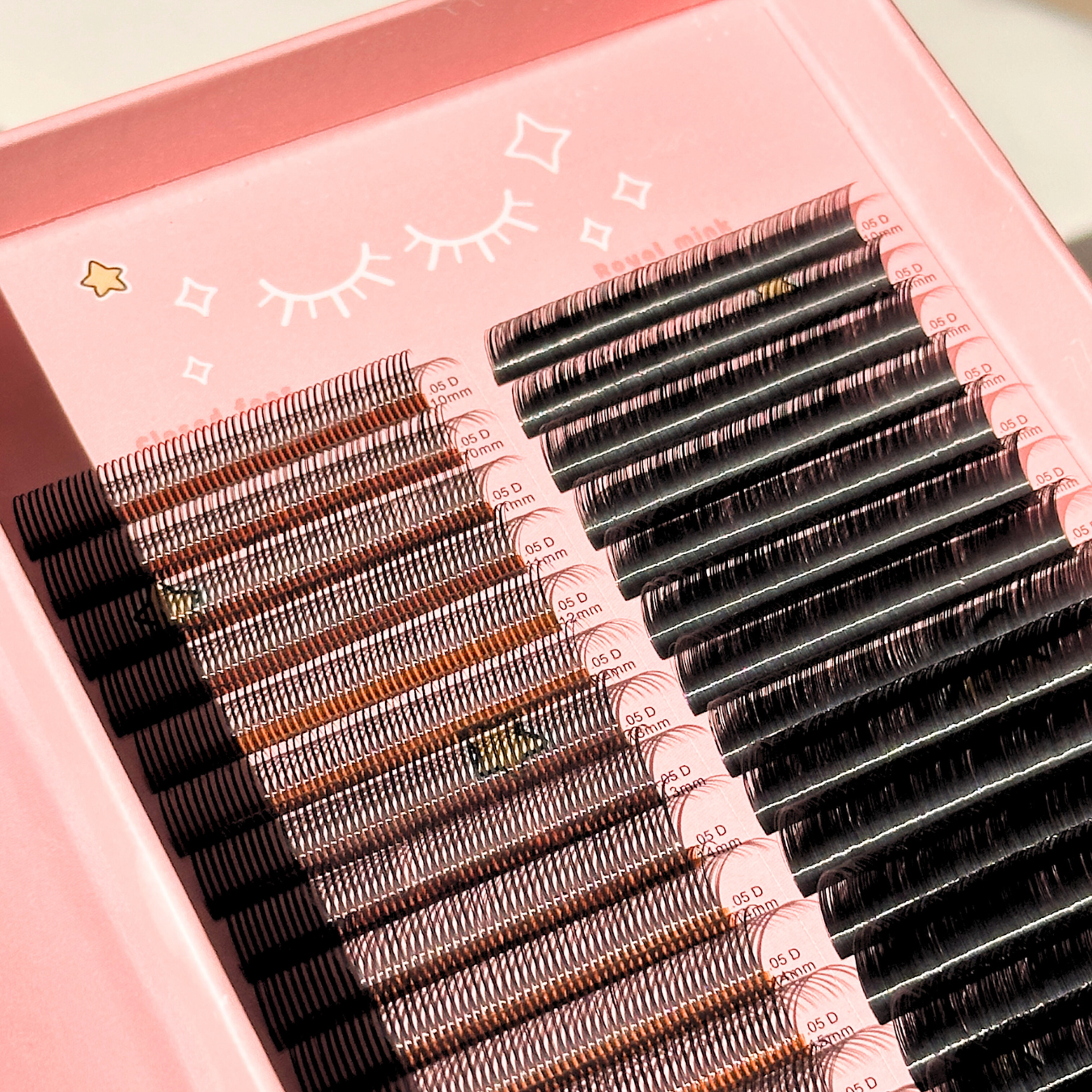 BEAUTY DIARIES 0.05 closed fans + royal mink lashes