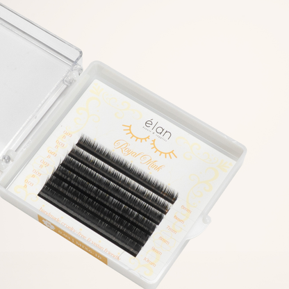 BOTTOM LASHES mini tray