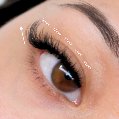 fox slanted yy lashes