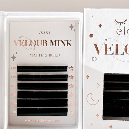 MINI TESTER TRAY - velour mink (MATTE & BOLD) ✨