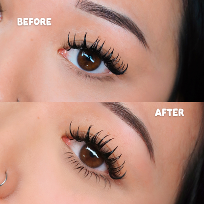 BOTTOM LASHES mini tray