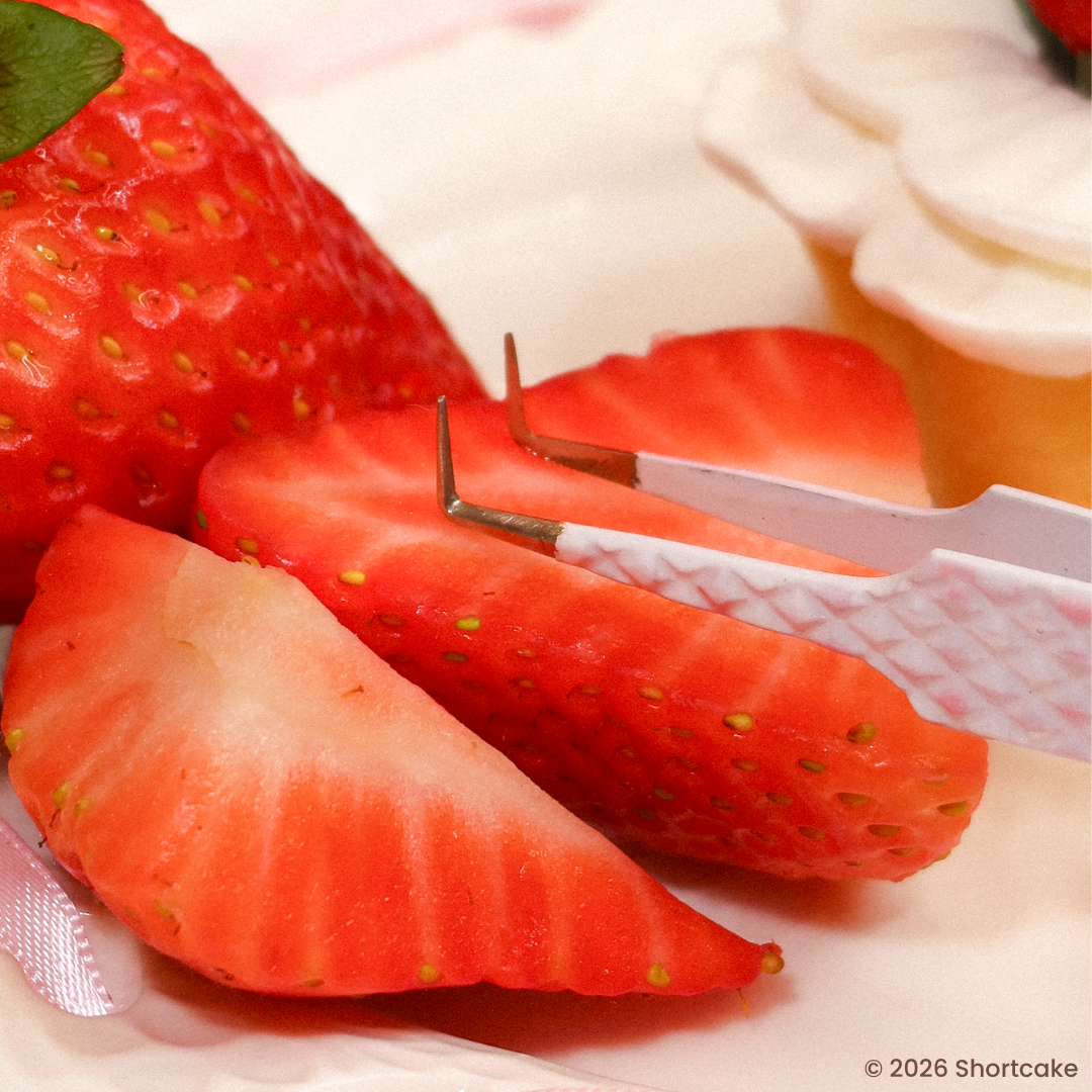 STRAWBERRY SHORTCAKE e03 90 degree tweezer